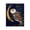 Moonlit Owl Woodland Scene, variant on Stupell Industries Eclectic Frog in Night Forest Canvas Art, 16 x 20, by Michelle Ingari Designs