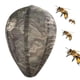 thumbnail image 1 of Wasp Nest Decoy Hanging Wasp Deterrent Safe Garden Trampa repelente (verde oscuro), 1 of 4