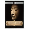 The Buddha: The Story of Siddhartha (DVD)