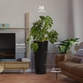 thumbnail image 2 of Worth 2 Pack 28" Metal Planter with Inside Pot for Indoors or Outdoors, Black, 2 of 12