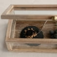 thumbnail image 2 of Creative Co-Op Mango Wood and Glass Display Box with Lid, Clear, 2 of 9