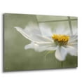 thumbnail image 2 of Epic Art 'Whisper' by Mandy Disher, Acrylic Glass Wall Art, 36"x24", 2 of 8