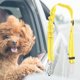 thumbnail image 2 of Correa para arnés de coche para perros, correa ajustable para arnés de coche para perros y gatos, funcionamiento suave, 2 of 9