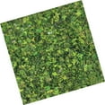thumbnail image 1 of 40g Miniature Feuille Statique Modèle Chemin de Fer Fée Jardin Disposition Sable Table Décor Vert, 1 of 5
