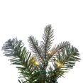 thumbnail image 2 of Vickerman 24" Frosted Douglas Fir Artificial Pre-Lit Wreath, Warm White 3mm LED Wide Angle Lights., 2 of 6