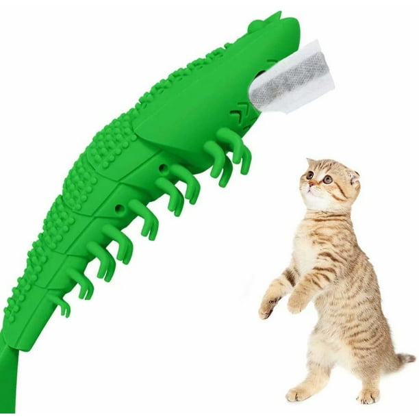 Catnip toothbrush for best sale cats