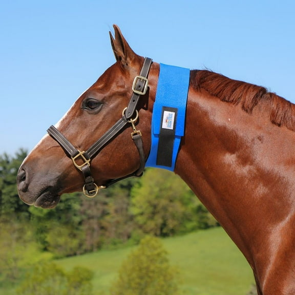 Dura-Tech Superior Narrow Throat Sweat | Horse Throatlatch Care | Size Small