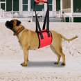 thumbnail image 5 of Cinturón de seguridad para perros, cinturón de seguridad de apoyo para perros, cinturón de seguridad de elevación trasera, cinturón de asistencia para caminar, cinturón de seguridad de cuerp, 5 of 5