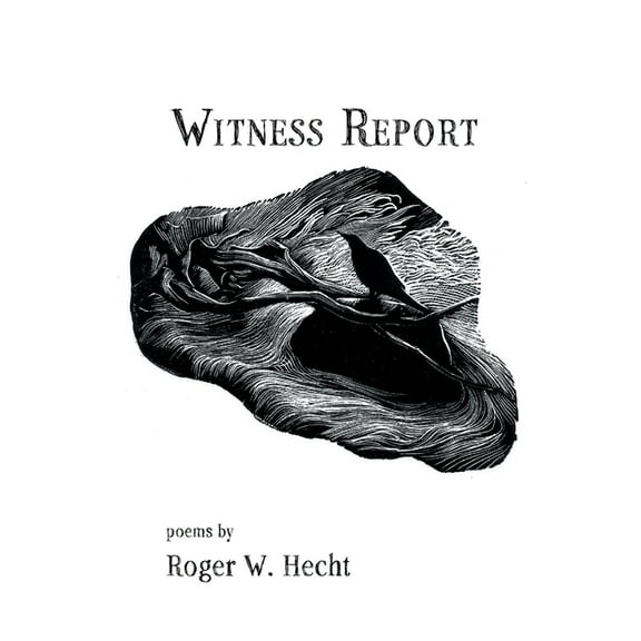 Witness Report (Paperback)