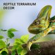 thumbnail image 5 of unbranded 2Ud Artificiales Para Terrarios Para Reptiles Accesorios De, 5 of 6