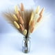 thumbnail image 5 of 55CM 10 piezas de hierba de pampa esponjosa decoración bohemia flor planta falsa junco simulación boda fiesta decoración del hogar flores artificiales, 5 of 6