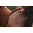 thumbnail image 4 of MEDALLION - My Pony Ride On Real Walking Horse for Children 5 to 12 Years Old or Up to 110 Pounds (Color Medium Chocolate Horse) for Boys and Girls, 4 of 5