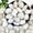 White, variant on 5lbs White River Rocks, 1-2 Inch Natural Pebbles for Indoor Plants, High Polished Decorative Stones Vase Filler Fish Tank Aquariums Landscaping Garden Outdoor and Indoor DIY
