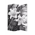 thumbnail image 1 of Screen Gems Lilly Diviseur de Pièce, Multicolore, 48"L x 72"H, 1 of 1