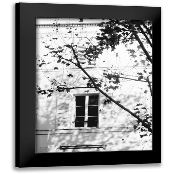 Gomis, J. 12x14 Black Modern Framed Museum Art Print Titled - Autumn Shadows II