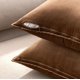 thumbnail image 4 of Cterwk - Juego de 2 fundas de almohada de terciopelo con cremallera, 45 x 45 cm, decorativas, suaves y lisas, para sofá cama o sofá., 4 of 7