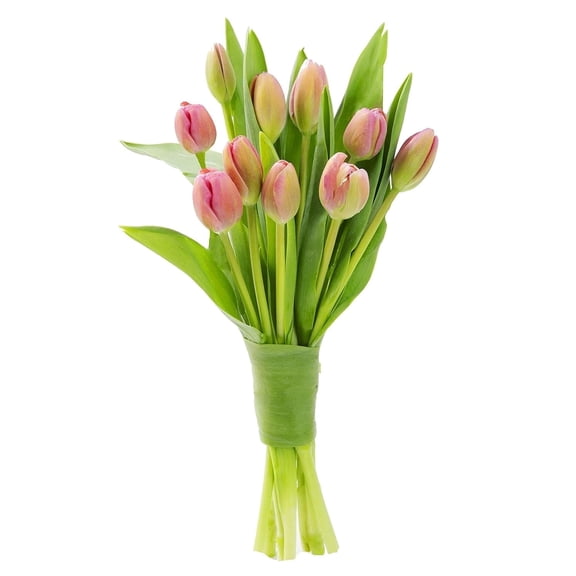 KaBloom 10 Pink Tulips Without Vase, Gift for all occasions