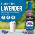 thumbnail image 2 of Syruvia Sugar-Free Lavender Syrup for Drinks 1 Case (6 Bottles, 25.4 fl oz Each) Lavender Flavoring Syrup, 2 of 8