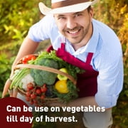 Harris Seeds Bonide Pyrethrin Garden Insect Spray Concentrate, Pest Control for Vegetables and Flowers, 1 Pint