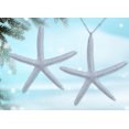 thumbnail image 2 of Finger Starfish Ornaments - Set of 2 Beach Coastal Tree Decorations, 2 of 4