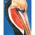 thumbnail image 2 of Parker, Jennifer Paxton 12x14 White Modern Wood Framed Museum Art Print Titled - Vibrant Pelican II, 2 of 4