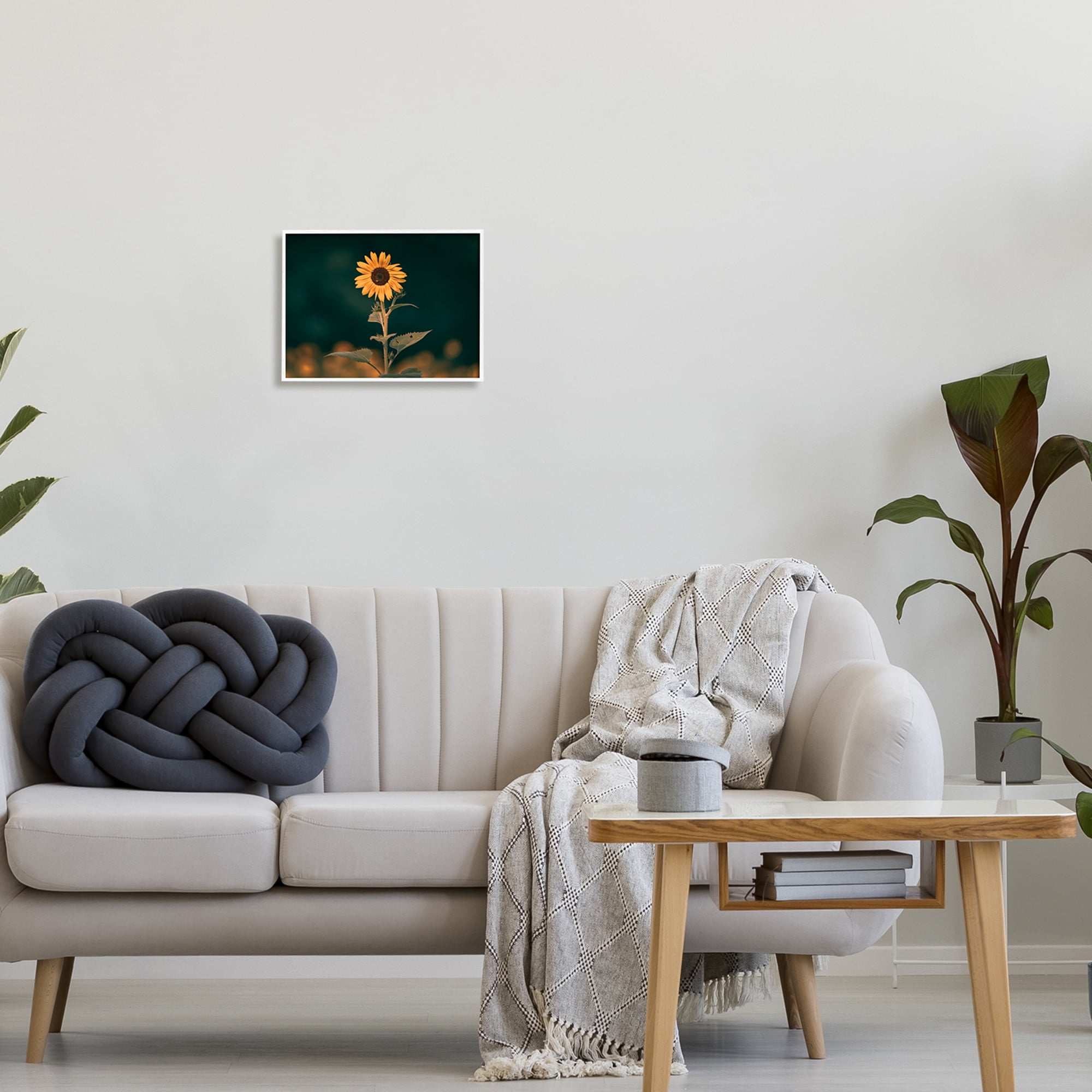 Stupell Industries Dark Sunflower Nature Botanical & Floral Photography White Framed Art Print Wall Art, 14 x 11