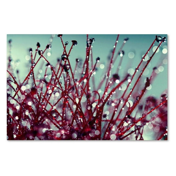 Trademark Fine Art "Morning Tunes" Canvas Art by Beata Czyzowska Young