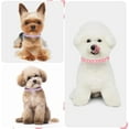 thumbnail image 2 of Small Dog Collar with Rhinestone, 2-Pack Bling Cat Collar Glitter Diamond Jewelry Crystal Girl Puppy Collar for XXS XS Small Medium Female Dogs & Kitten, 2 of 5