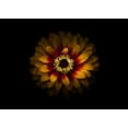 thumbnail image 2 of Carson, Brian 32x24 Gold Ornate Wood Framed with Double Matting Museum Art Print Titled - Backyard Flowers 69, 2 of 4