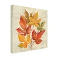 thumbnail image 2 of Trademark Fine Art 'November Leaves IV' Canvas Art by Silvia Vassileva, 2 of 3