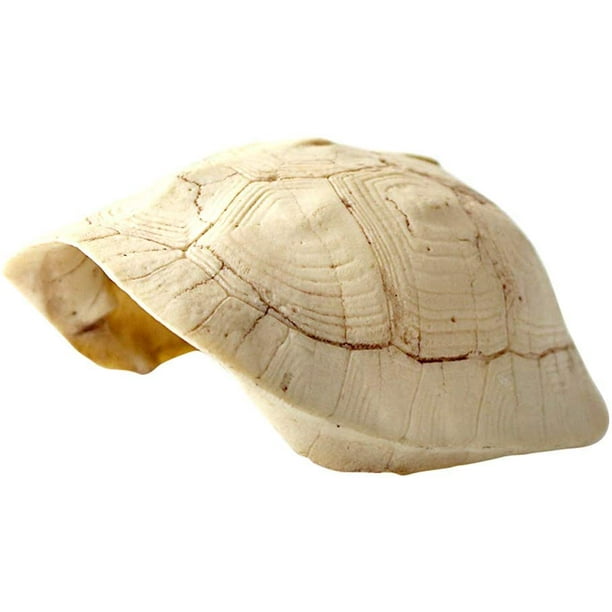 QUETO Abri en forme de carapace de tortue pour reptiles, terrarium