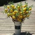 thumbnail image 5 of Artificial Lemon Bunch Branch Garland Vine Wreath Lifelike Fake Fruit Props Home Garden Wedding Party Decoration 50cm, 5 of 9