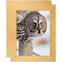 ArtToFrames 11" x 17" Metallic Gold Picture Frame, 11x17 inch Gold MDF Poster Frame (WOM-4500), 2 Pack