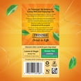 thumbnail image 4 of Twinings Camomile, Honey & Vanilla Herbal Tea Bags, Caffeine Free, 20 Count Box, 4 of 7