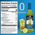 thumbnail image 3 of Syruvia Green Tea Sugar Free Cocktails Syrup 25.4 Fl Oz With Pump, 3 of 7