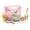 Green, variant on 8 Piece Matcha Tea Set with Ceramic Pouring Bowl, Bam-boo Whisk and Accessories, Japanese Matcha Making Kit with Sa-kura Design Tea Towel, Green, 9.4 x 6.9 x 4.1 Inch
