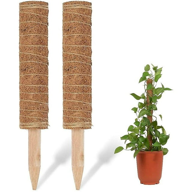 Palo de coco, palito de 40cm para plantas, palillo de coco, palo de musgo compatible con planta de escalada para jardín doméstico, extensión de planta de soporte vegetal Afortunado Sencillez