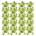 thumbnail image 2 of 40x Picks Cabezas de Flores de Peonía de, 2 of 9