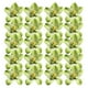 thumbnail image 2 of 40x Picks Cabezas de Flores de Peonía de Decoraciones para Banquetes, 2 of 9