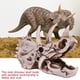 thumbnail image 3 of Decoración de calavera de resina, estatua de Triceratops realista, mesa de cabina de escritorio de Animal, huesos anatómicos para el hogar, fiesta coleccionable de Halloween Inevent HA011090-00B, 3 of 7