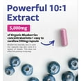 thumbnail image 6 of Pure Co Certified Organic Blueberry Extract Capsules - High Potency 10:1 Blueberry Supplement with 5000mg Herbal Equivalent for Wellness Brain & Immune Support - 60 Capsules, 6 of 8