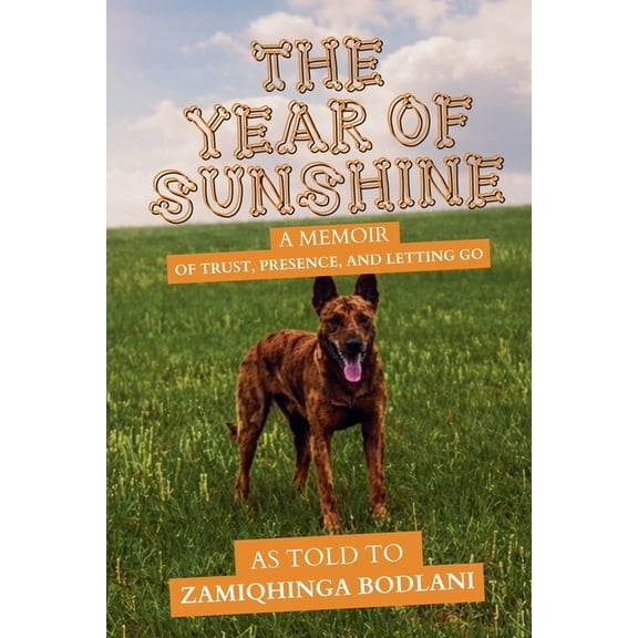 The Year of Sunshine, (Paperback)