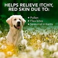 thumbnail image 4 of Vet's Best Allergy Itch Relief Dog Shampoo, Cleans and Relieves Discomfort from Seasonal Allergies, 16 oz., 4 of 9
