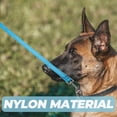 thumbnail image 2 of Reflective Dog Leash Nylon Dog Leash for Walking and Training Puppy Leash with Ring, 2 of 9