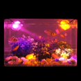 thumbnail image 5 of Colorido Led Acuario Tanque de peces Lámpara de punto Foco de buceo Luces iluminadas Rojo Enchufe de EE. UU. Kuyhfg Bienvenido a Kuyhfg, 5 of 5
