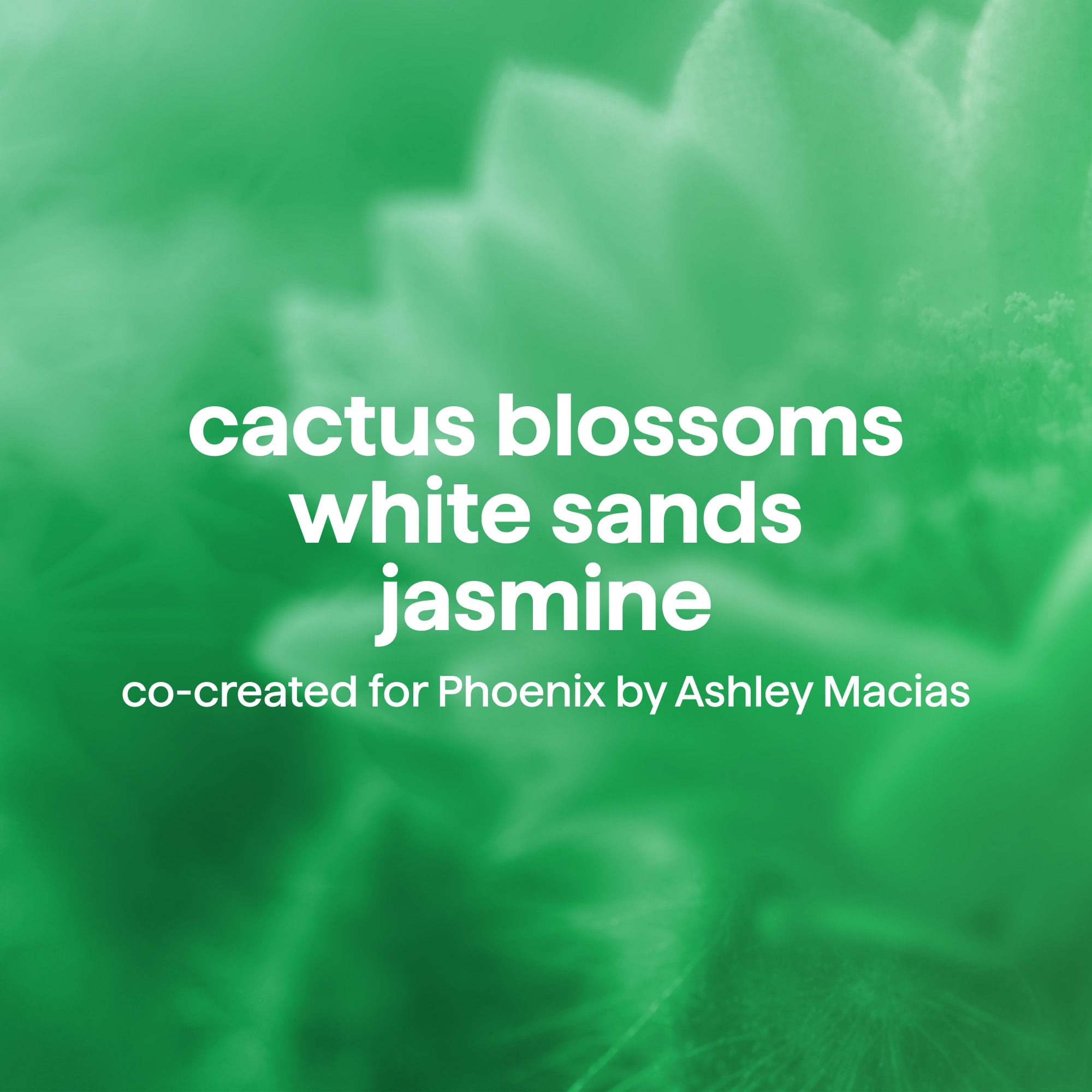limited edition body wash, artist collection, Phoenix