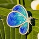 thumbnail image 4 of Trendy Butterfly Pin Brooch Lightweight Comfortable Alloy Design Outfit Enhancer Trendy Enamel Butterfly Accessory, 4 of 4
