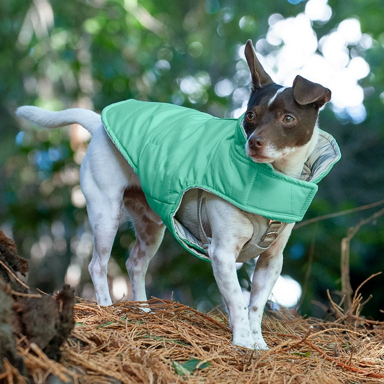 Extra small dog jacket sale