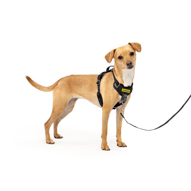 Arnés para perro PetSafe Easy Walk Comfort antitirones negro XS