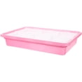 thumbnail image 3 of Maceta de hierba para gatos para el hogar, maceta de hierba gatera, práctica caja de hierba hidropónica para gatos, 3 of 7